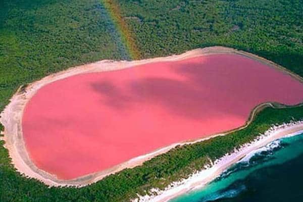 pink lake