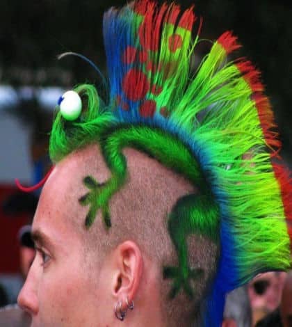 A Hair Raising Tale Kiwi Kids News