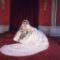 Princess Diana’s wedding dress returns to UK
