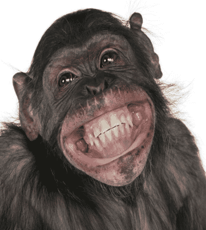 smile
