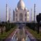 Insect poo turning Taj Mahal green