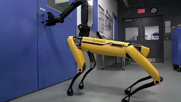 Robot dance steals gala – Kiwi Kids News Robot dance steals gala – Kiwi Kids News