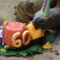 Party for 60-year-old tortoise