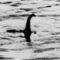 Is the Loch Ness monster just an eel?