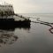Oil spill in Artic causes devastation
