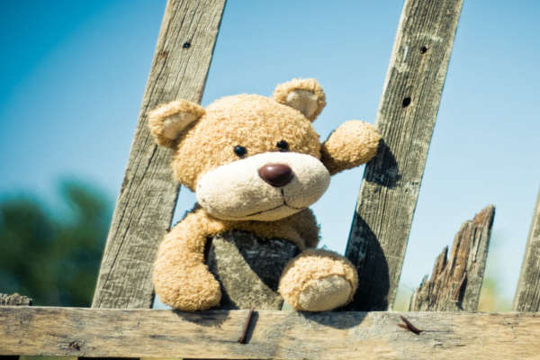 kiwi teddy bear