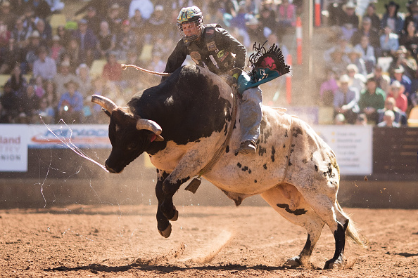 rodeo