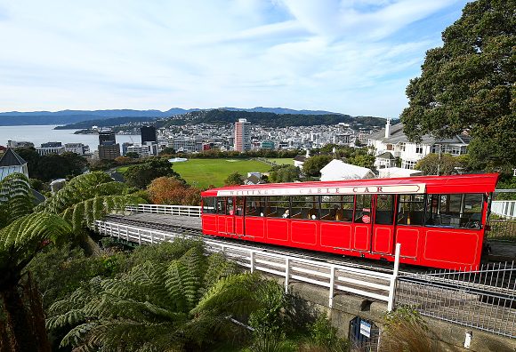 wellington