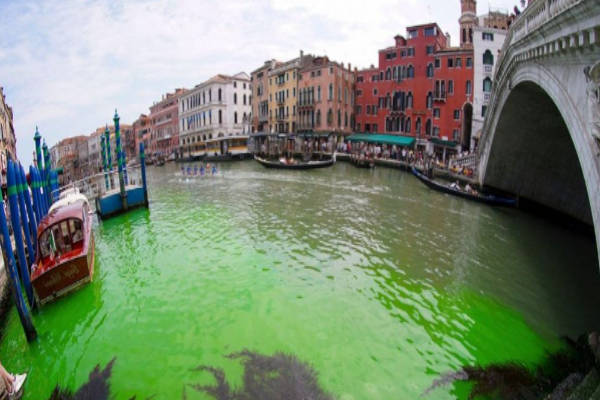 Venice water turns green - Kiwi Kids News