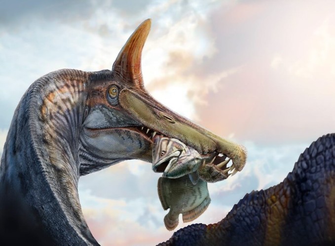Giant Sahara Dinosaur Found – Kiwi Kids News