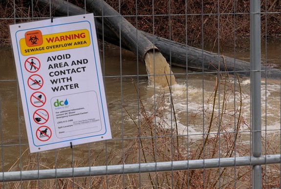 Sewage spill in Wellington – Kiwi Kids News Sewage spill in Wellington – Kiwi Kids News