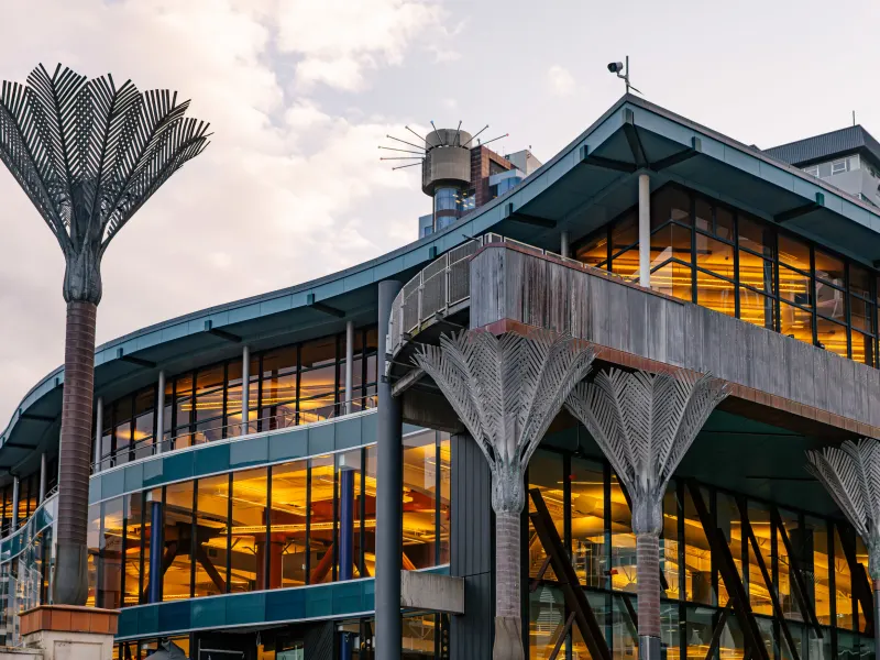 Wellington Library reopens – Kiwi Kids News